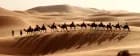 03 Days Morocco Sahara Desert  Tours